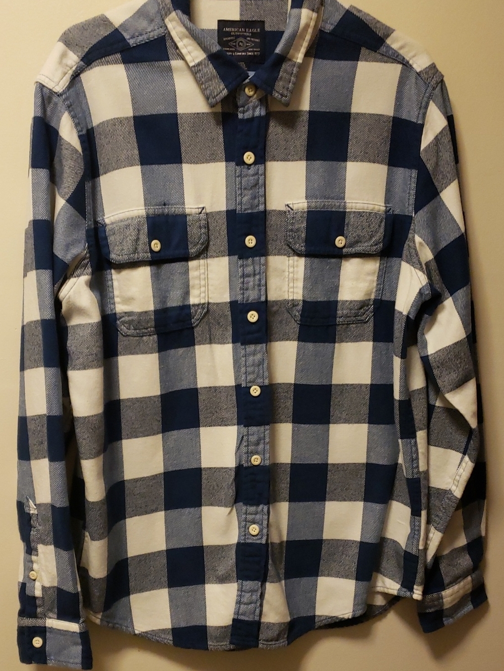 American Eagle Outfitters Blue and White Check Button-Down Flannel Shirt